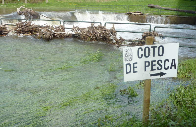 Sólo diez cotos de pesca en León superan el 75 por ciento de ocupación